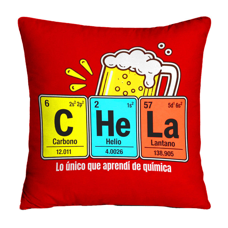 Cojin Cerveza 27
