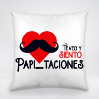 COJIN DIA DEL PADRE 24 BLANCO